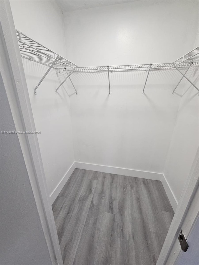 walk in closet with wood finished floors