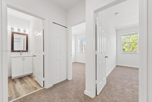 2556 SE 15th Ct, Homestead, FL 33035 - hallway with baseboards, a sink, and light colored carpet