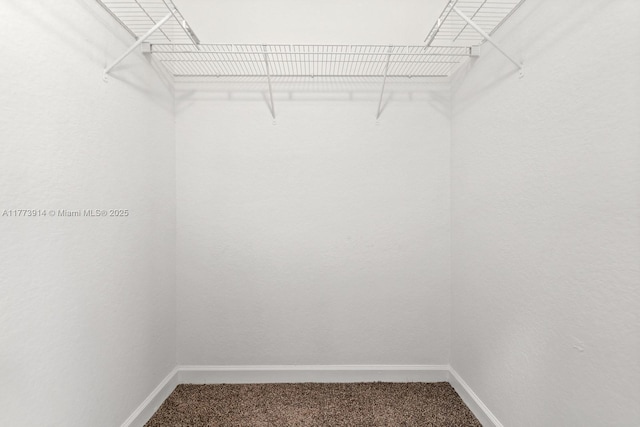 2556 SE 15th Ct, Homestead, FL 33035 - walk in closet featuring carpet