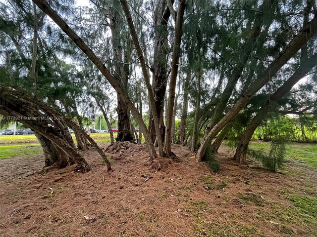 6709 N Kendall Dr Unit 227, Pinecrest, FL 33156 - view of local wilderness
