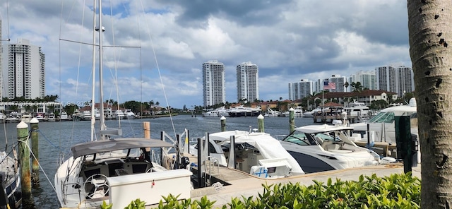 view of dock with a water view and a city view