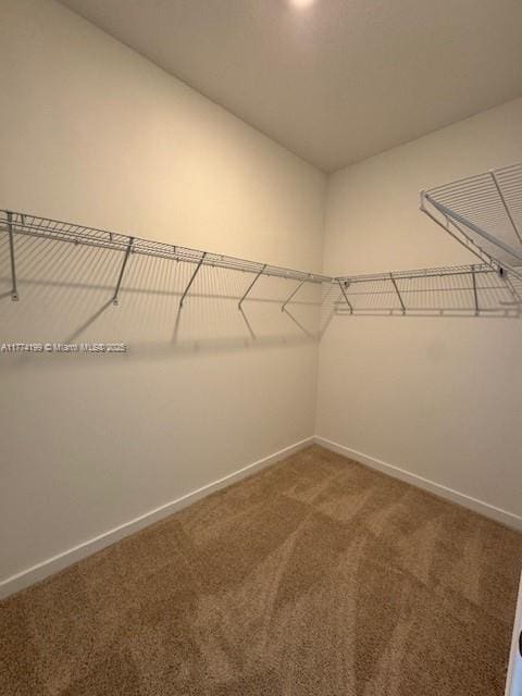 walk in closet with carpet