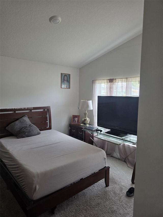 5317 Lugo St, Fort Pierce, FL 34951 - bedroom with carpet, vaulted ceiling, and a textured ceiling