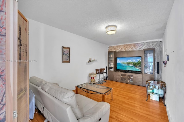 519 SW 88th Pl E, Miami, FL 33174 - living room with light wood-style floors and a textured ceiling