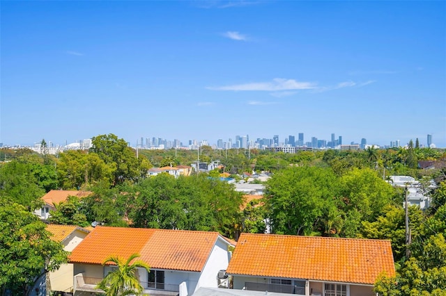 bird's eye view of a view of skyline