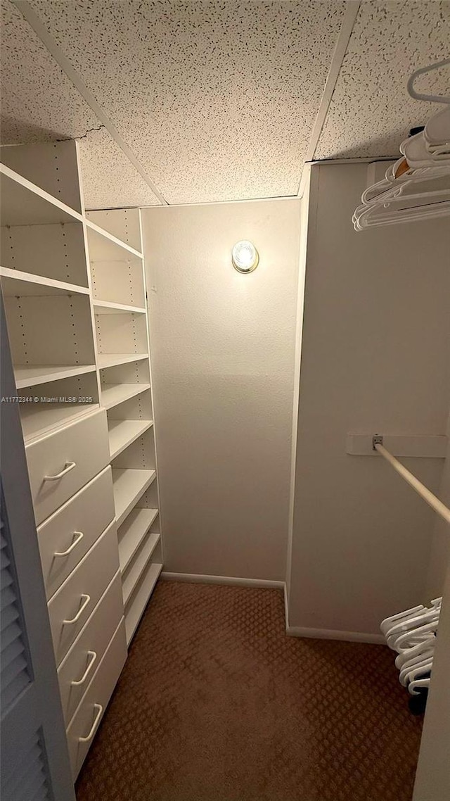 1950 S Ocean Dr Unit 6G, Hallandale Beach, FL 33009 - spacious closet with carpet floors and a drop ceiling