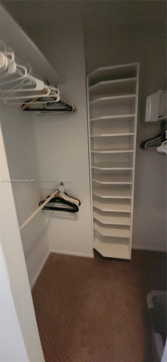 1950 S Ocean Dr Unit 6G, Hallandale Beach, FL 33009 - walk in closet with dark carpet