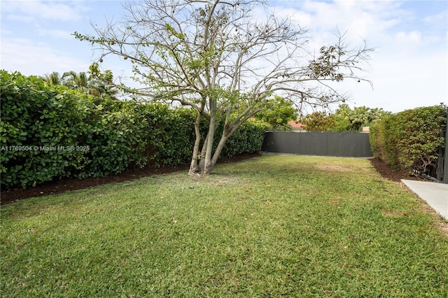 6881 SW 94th Ave, Miami, FL 33173 - view of yard