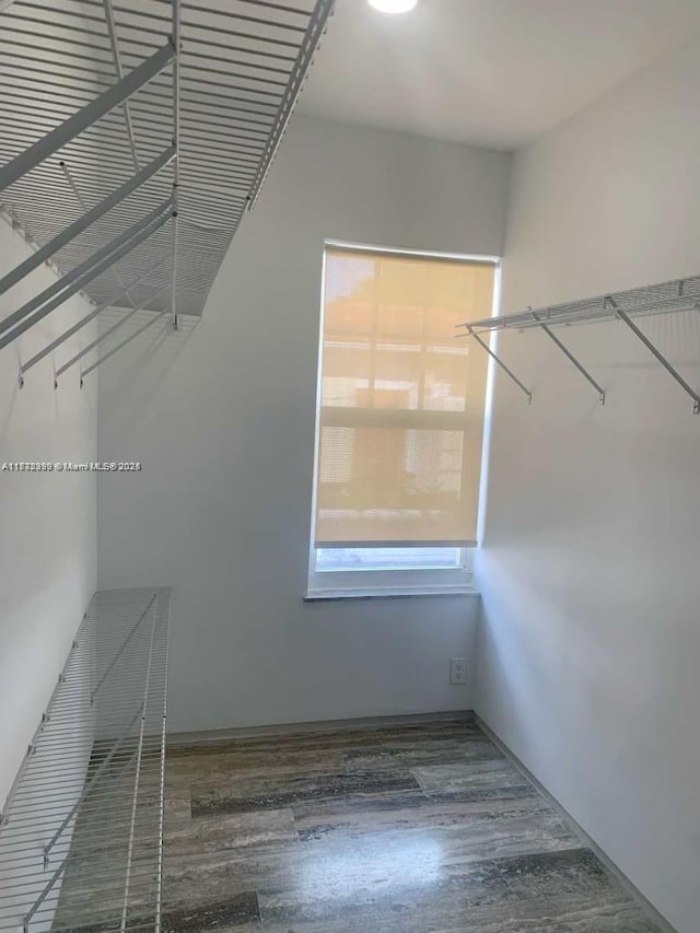 spacious closet featuring wood finished floors