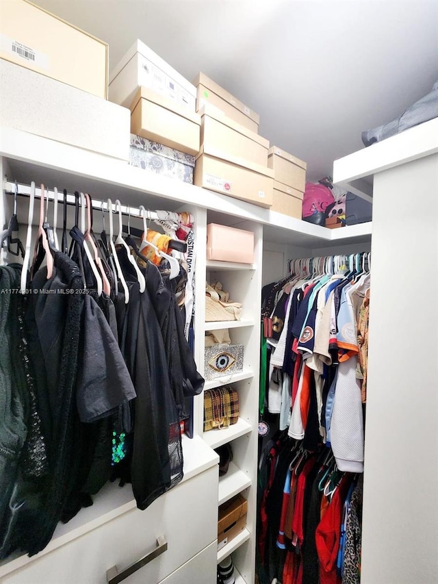 view of walk in closet