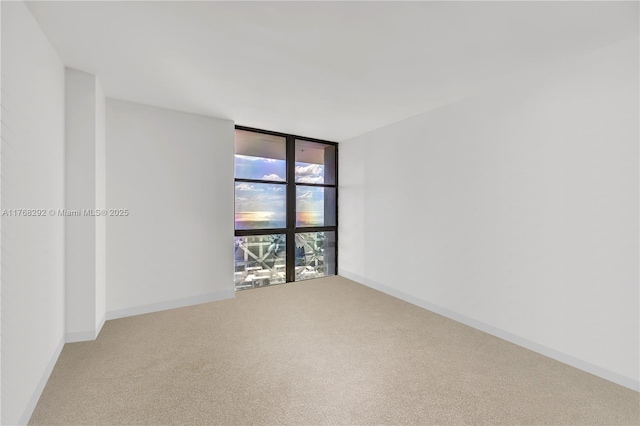 empty room with floor to ceiling windows, carpet flooring, and baseboards