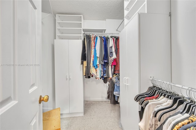 view of walk in closet