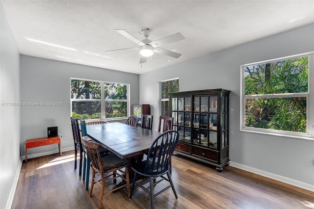dining space featuring baseboards, wood finished floors, ceiling fan, and a healthy amount of sunlight