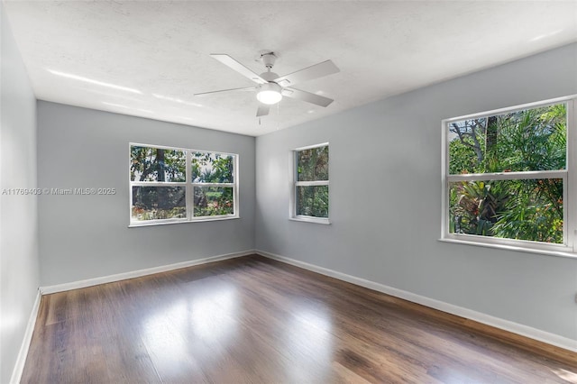 18901 SW 288th St, Homestead, FL 33030 - photo 19