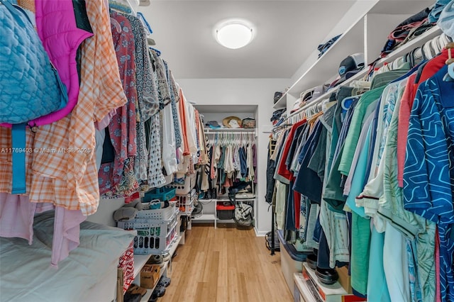 walk in closet featuring wood finished floors