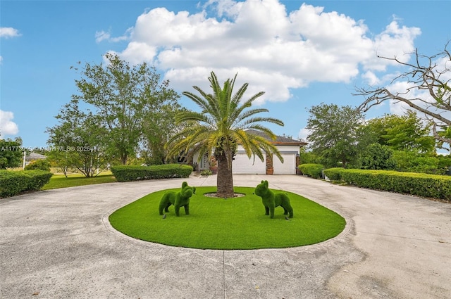 view of front facade featuring curved driveway and a front lawn