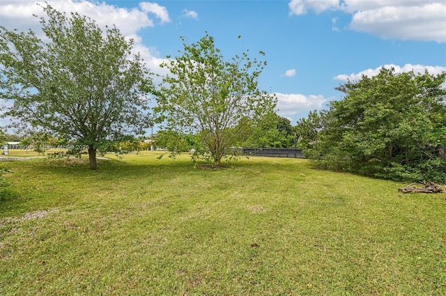 view of yard