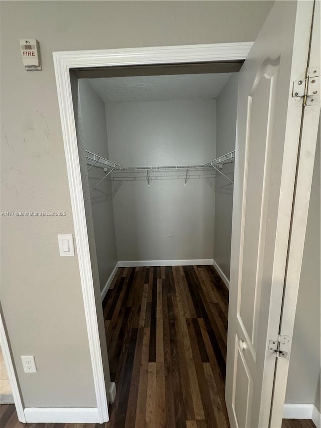 spacious closet with dark wood-type flooring