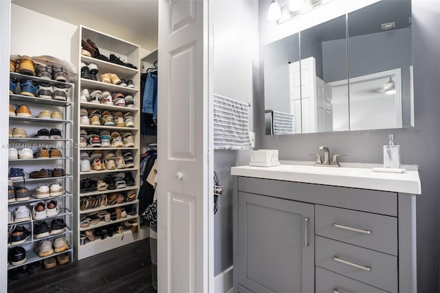 bathroom featuring a spacious closet, vanity, and wood finished floors