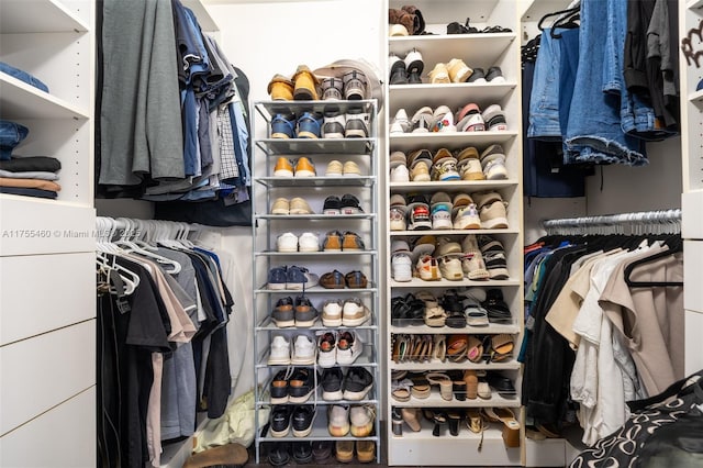 view of walk in closet