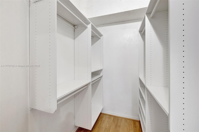 16249 NW 24th St, Pembroke Pines, FL 33028 - spacious closet with light wood-type flooring