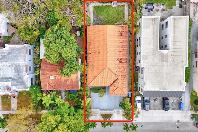 bird's eye view