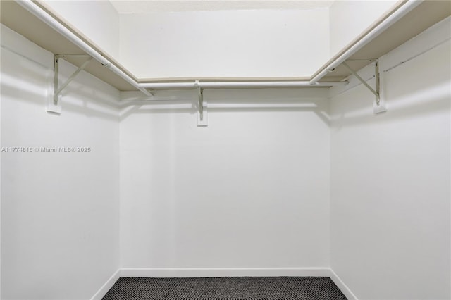 view of walk in closet