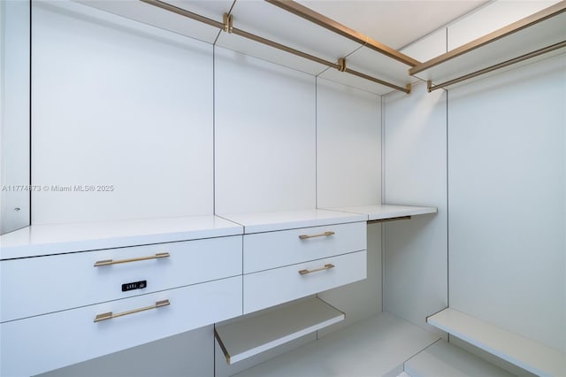 15701 Collins Ave Unit 1004, Sunny Isles Beach, FL 33160 - view of walk in closet