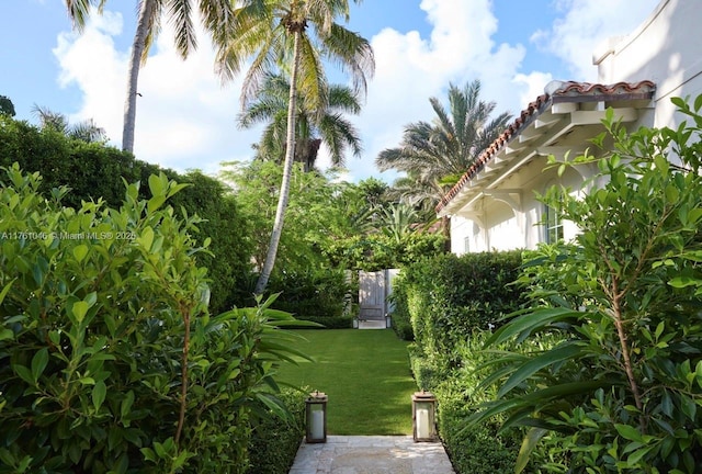 3976 Little Ave, Miami, FL 33133 - photo 17