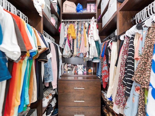 view of spacious closet