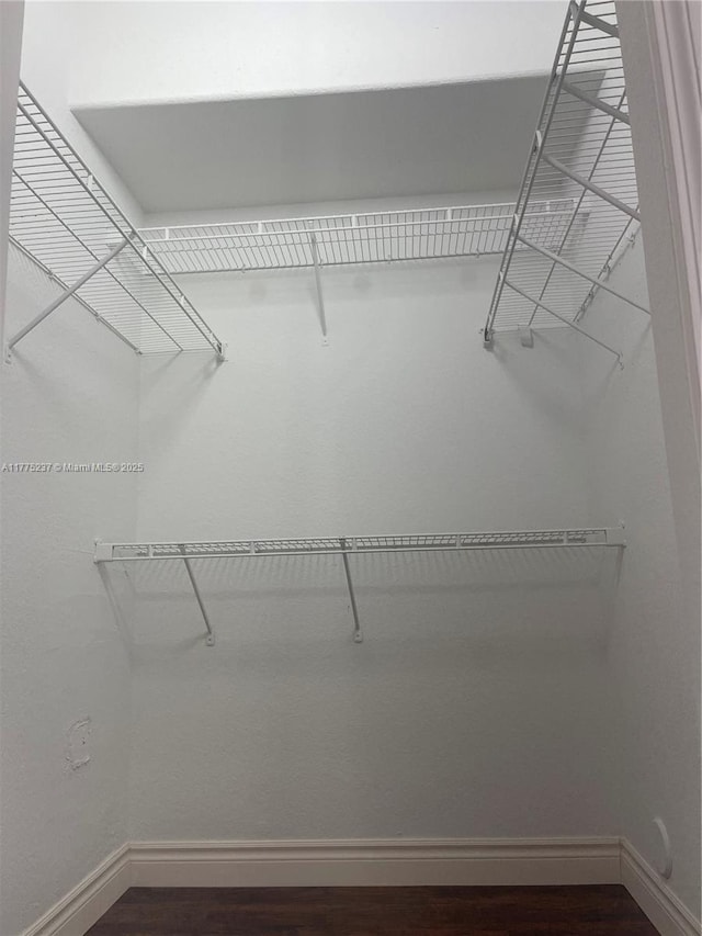 spacious closet featuring wood finished floors