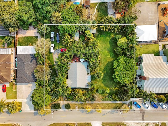 drone / aerial view