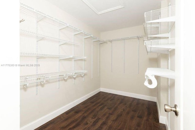 10766 Crescendo Cir, Boca Raton, FL 33498 - walk in closet with wood finished floors
