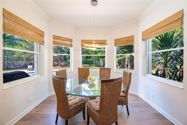 dining room featuring crown molding, baseboards, and wood finished floors