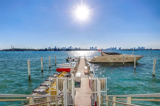 1035 W Ave Unit 507, Miami Beach, FL 33139 - dock with a water view and a view of skyline