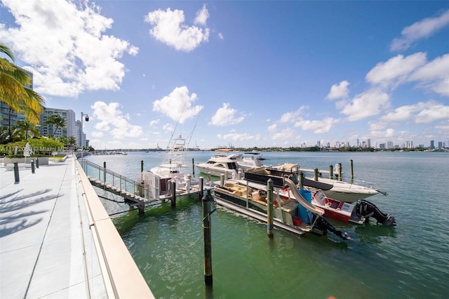 1035 W Ave Unit 507, Miami Beach, FL 33139 - dock featuring a water view