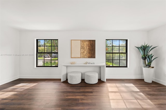 spare room with a healthy amount of sunlight, wood finished floors, and baseboards