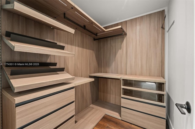 spacious closet with wood finished floors