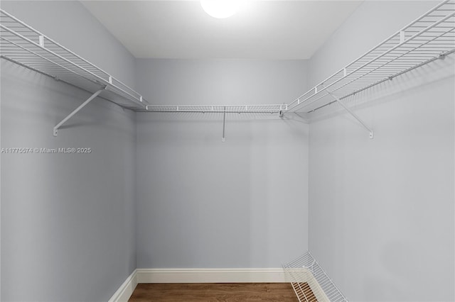 walk in closet featuring wood finished floors