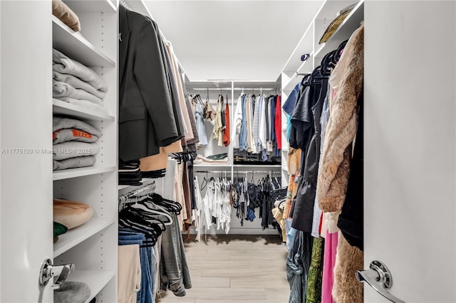 walk in closet with wood finished floors