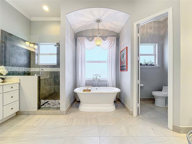 full bathroom with a stall shower, vanity, baseboards, healthy amount of natural light, and crown molding
