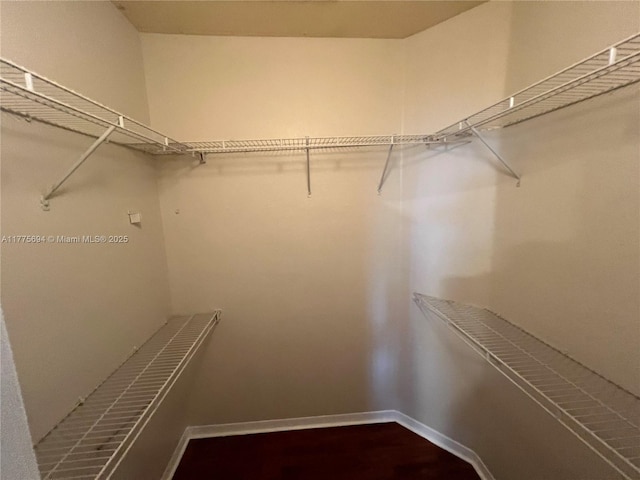 100 SW 15th Ave, Homestead, FL 33030 - view of walk in closet