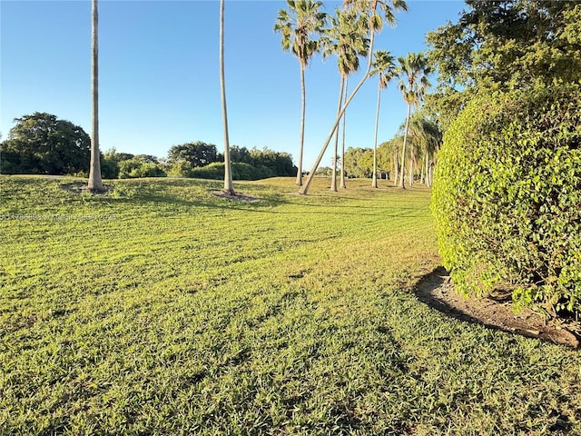 16339 Malibu Dr Unit 22, Weston, FL 33326 - view of yard
