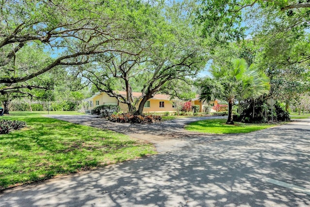 view of street featuring driveway