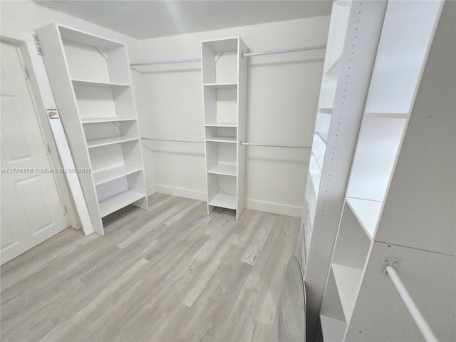 spacious closet featuring light wood finished floors