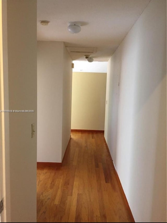 10420 SW 160th Ct, Miami, FL 33196 - hall featuring baseboards and light wood-style floors