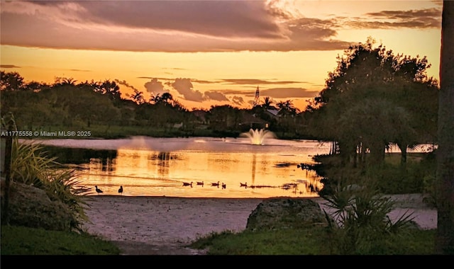 10420 SW 160th Ct, Miami, FL 33196 - property view of water