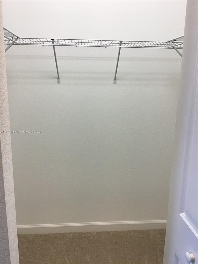 11378 SW 254th Ter, Homestead, FL 33032 - spacious closet featuring carpet flooring