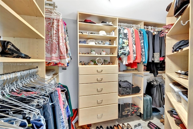 view of spacious closet