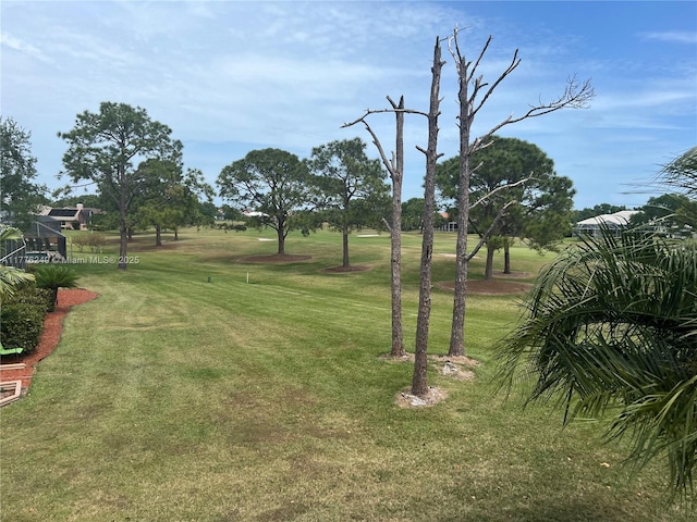 721 Spring Lake Dr, Melbourne, FL 32940 - view of yard